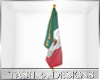 TD| Mexico Flag