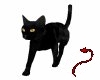 Devil~Spooky Cat