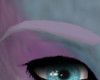 Faded Eyebrows/SP