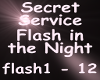 Flash in the Night