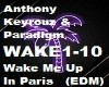 WAKE ME UP IN PARIS EDM