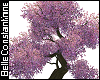 BC BEL TREE PINK SAKURA