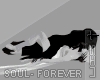 S†N Soul - FOREVER
