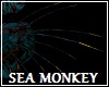 Sea Monkey Back Spikes