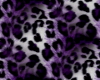 purple leopard clubchair