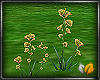 (ED1)Yellow - flowers