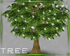 Tree 4a Ⓚ
