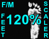 120% Feet Scaler F/M