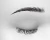 v. Dark Brown  Brows