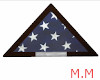{M} Tri Fold Flag W/Glas