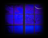 Window, Moon In Night