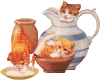 cat and Pottery