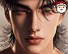 🎅 Santa - Hair Blk