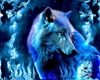 Blue Teal Wolf Room