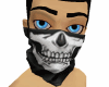 Skull Face Mask
