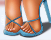 Blue Heels!