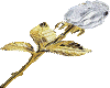 christal gold rose
