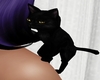 Black Cat Shoulder Pet