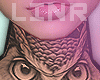 Full Neck Owl