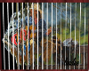 country animated picture