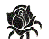[DS]Rose1
