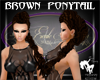 Brown Ponytail
