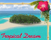 ! Tropical Dream Island