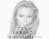  larsson -never forg