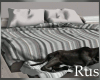 Rus Dogs With Bed