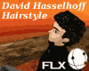DavidHasselhoffHairstyle
