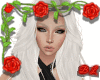 Ctarina White
