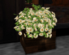 (SL) LL Planter Box
