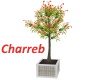 !Wicker Potted Tree