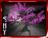 Animated Cherry Blossom