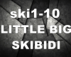 Little Big Skibidi