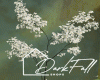 Almond Flower Branch