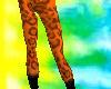 Leopard Printed leggings