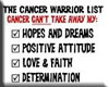(N) Cancer Warrior