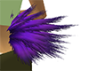 Purple Tail Tuff