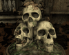 I. Skulls