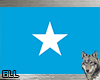 BLL Somalia Flag