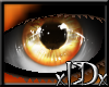 xIDx Softy Orange Eyes