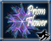 BFX Prism Flower