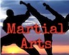 Martial Arts 3.2