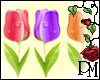 [PBM] Easter Tulips