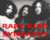 RARE BIRD _ SYMPATHY