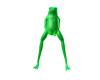 The Frog Avatar +