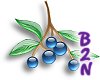 B2N-Glass Blueberries