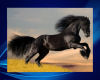 [G] Black Horse Poster
