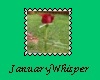 Red Rose Stamp